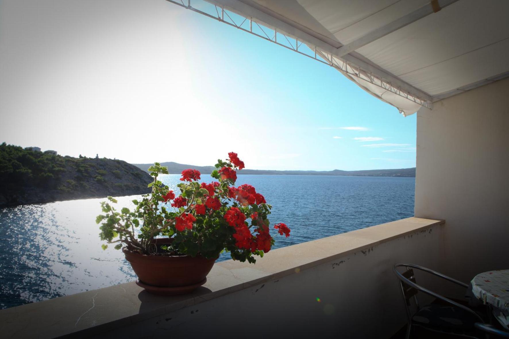 Apartament Blaskovic Novigrad (Dalmatia)